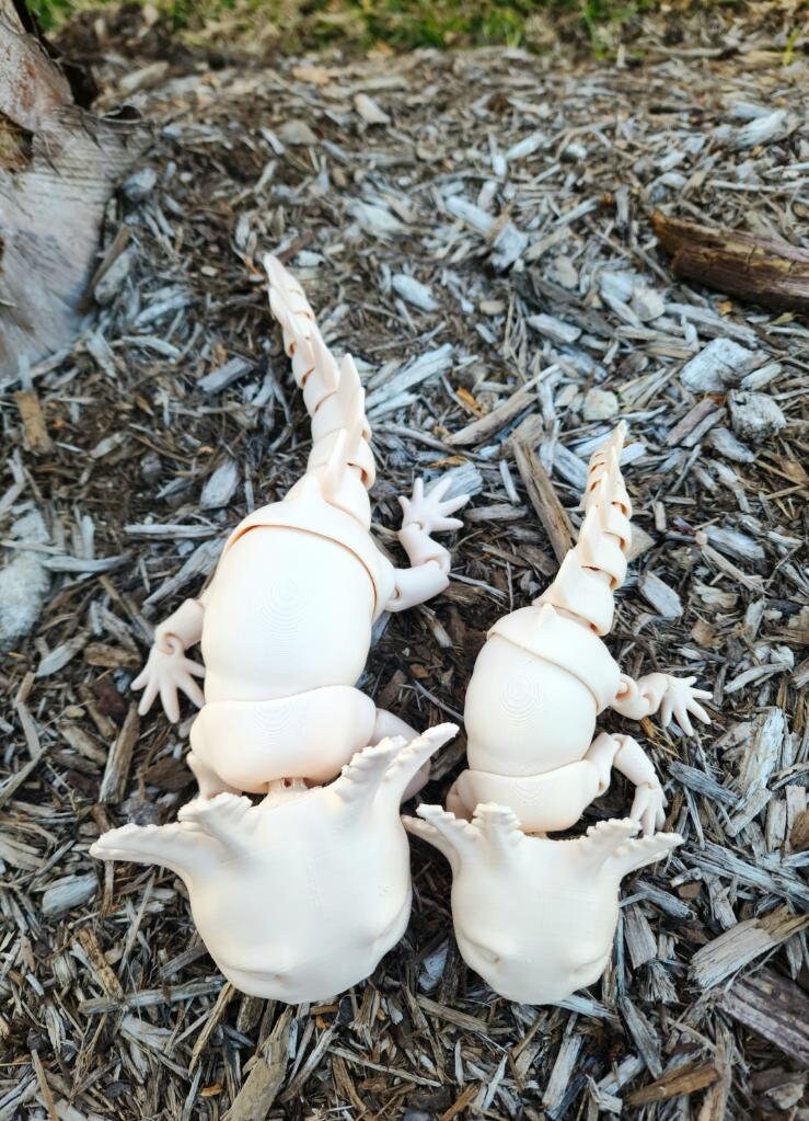 3D printed Axolotl, articulate fidget toy.