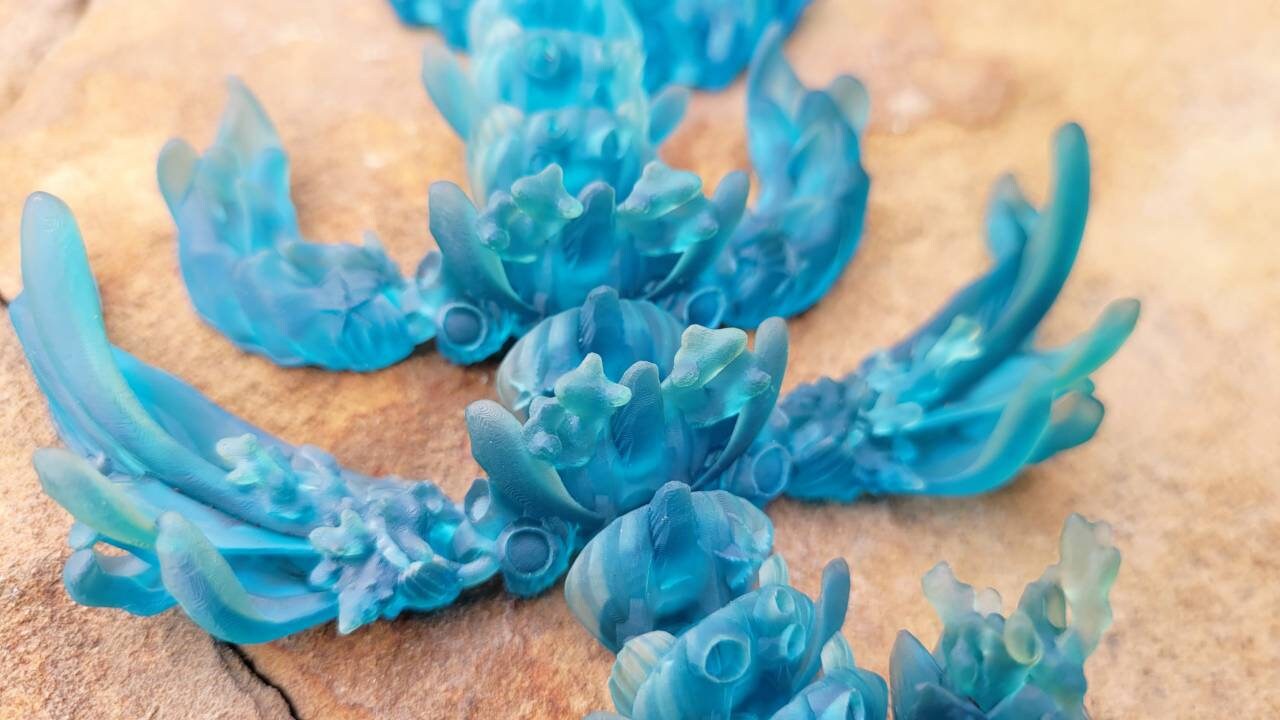 NEW* 3D resin coral dragon fidget toy.