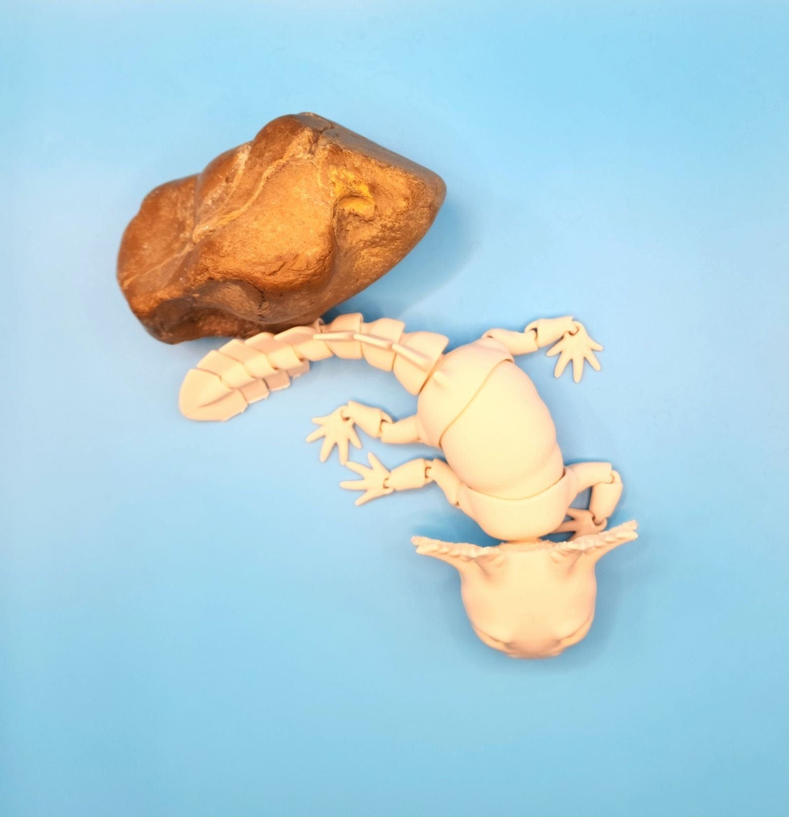 3D printed Axolotl, articulate fidget toy.