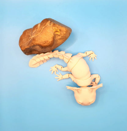 3D printed Axolotl, articulate fidget toy.