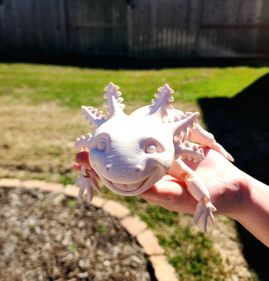 3D printed Axolotl, articulate fidget toy.