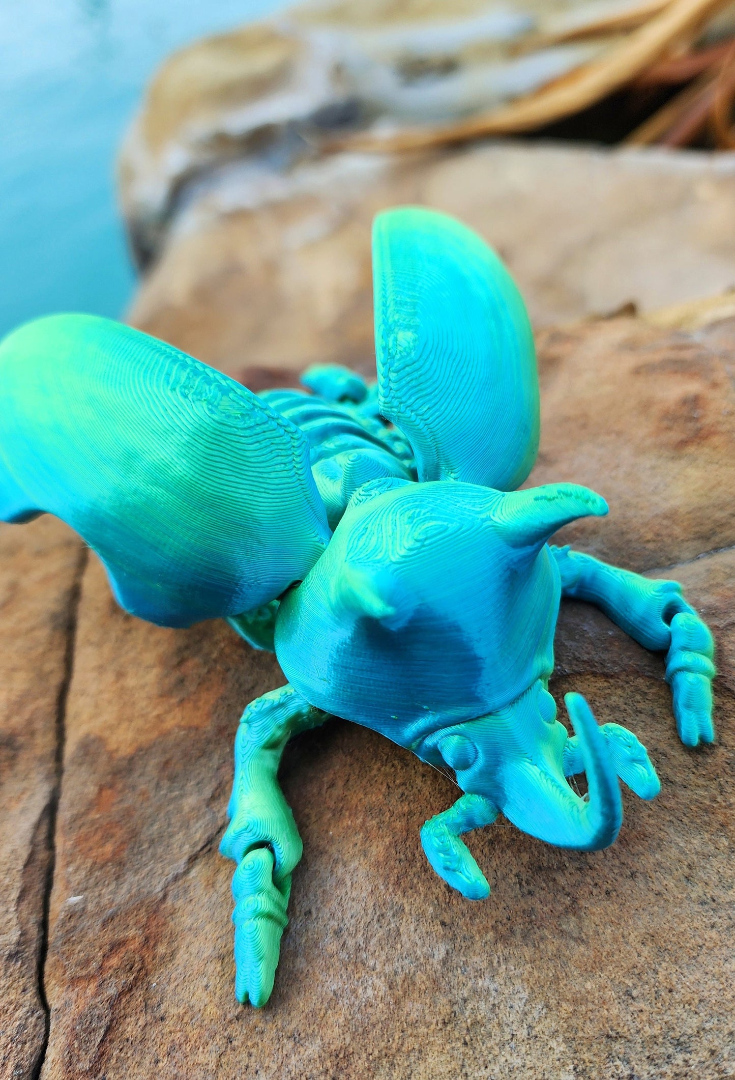 3D printed Unicorn Beetle Fidget toy, sensory toy, desktop toy/Decoration.