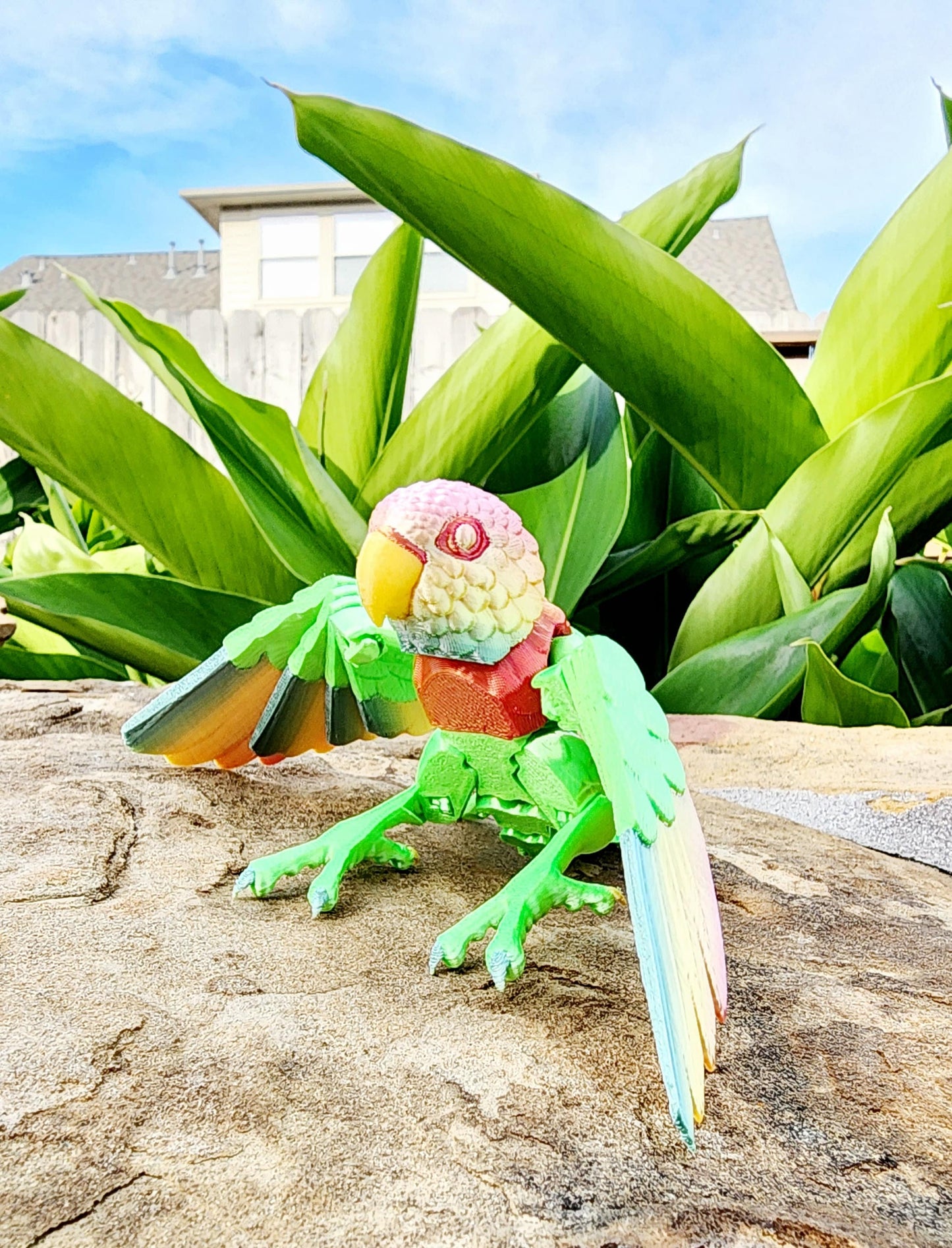 3D printed Lovebird articulated fidget, sensory toy.