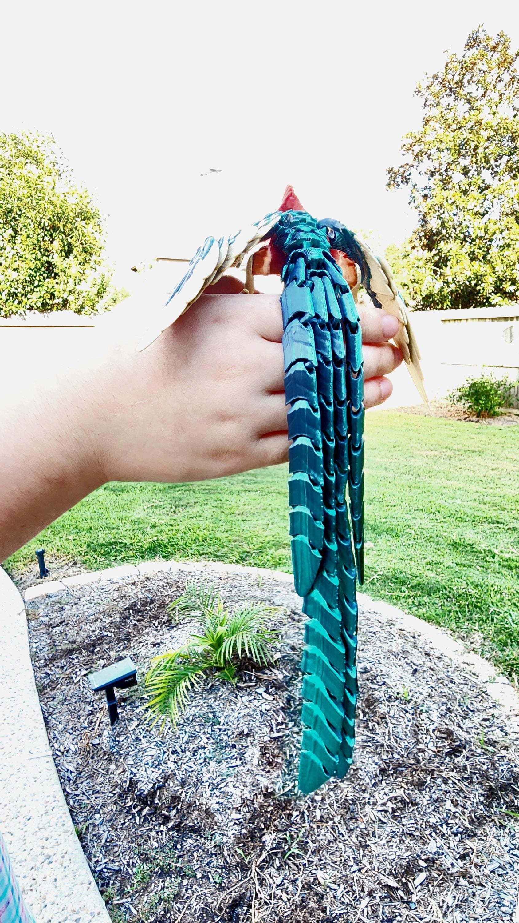 3D printed Quetzal articulated fidget, sensory toy, desk decoration.