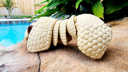 3D Printed articulate Armadillo fidget, sensory toy. Desk Toy, Decoration.