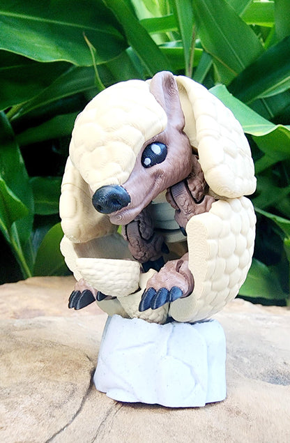 3D Printed articulate Armadillo fidget, sensory toy. Desk Toy, Decoration.