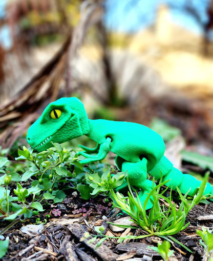 3D printed articulated T-Rex fidget toy, sensory toy, desktop decoration.