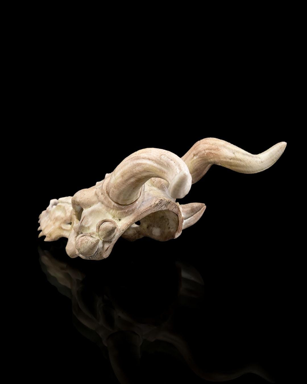 3D printed Bone Trophy Hair Pin