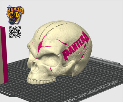 3D printed Skull Pick Holder. Desktop Decoration