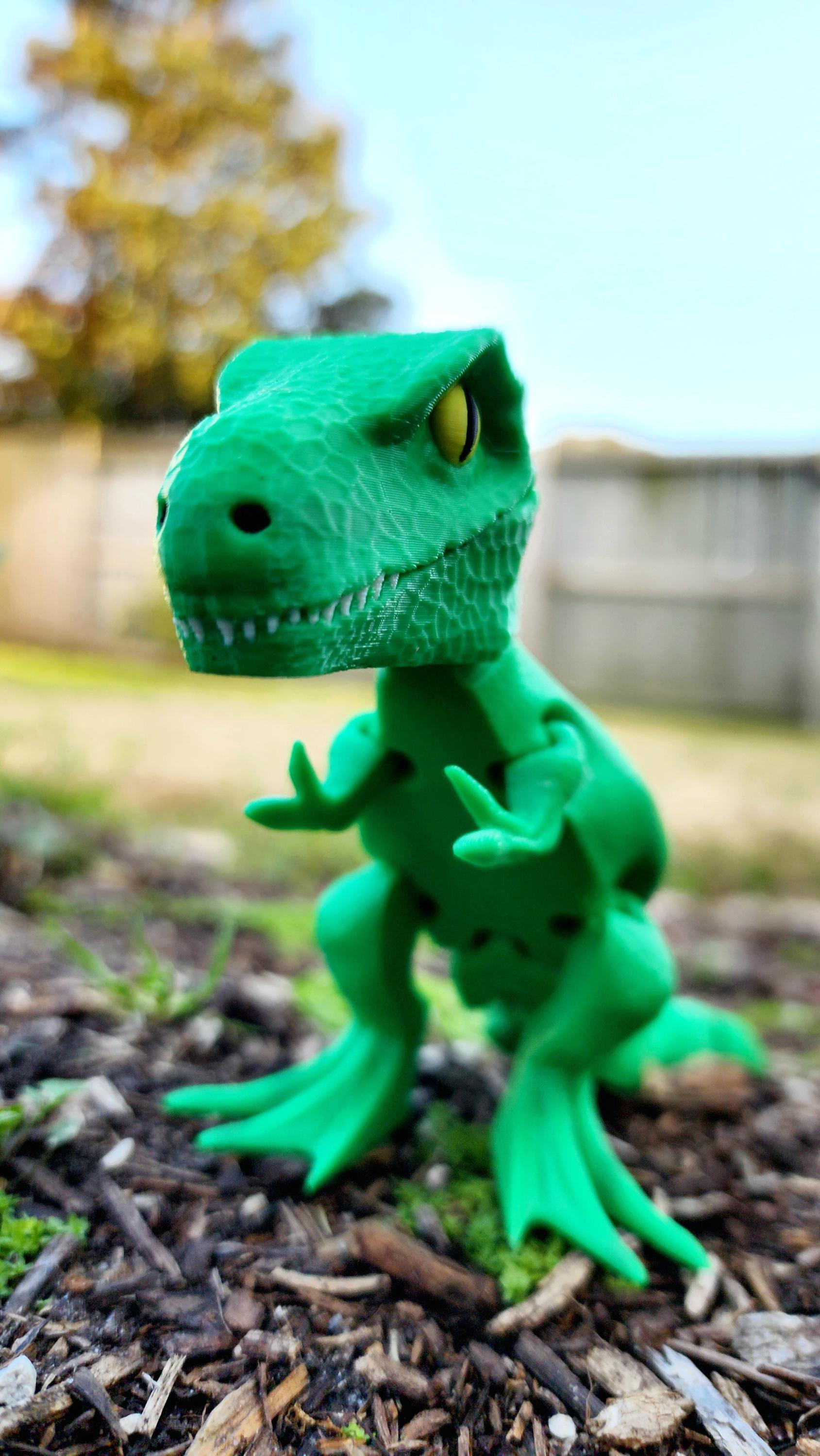 3D printed articulated T-Rex fidget toy, sensory toy, desktop decoration.