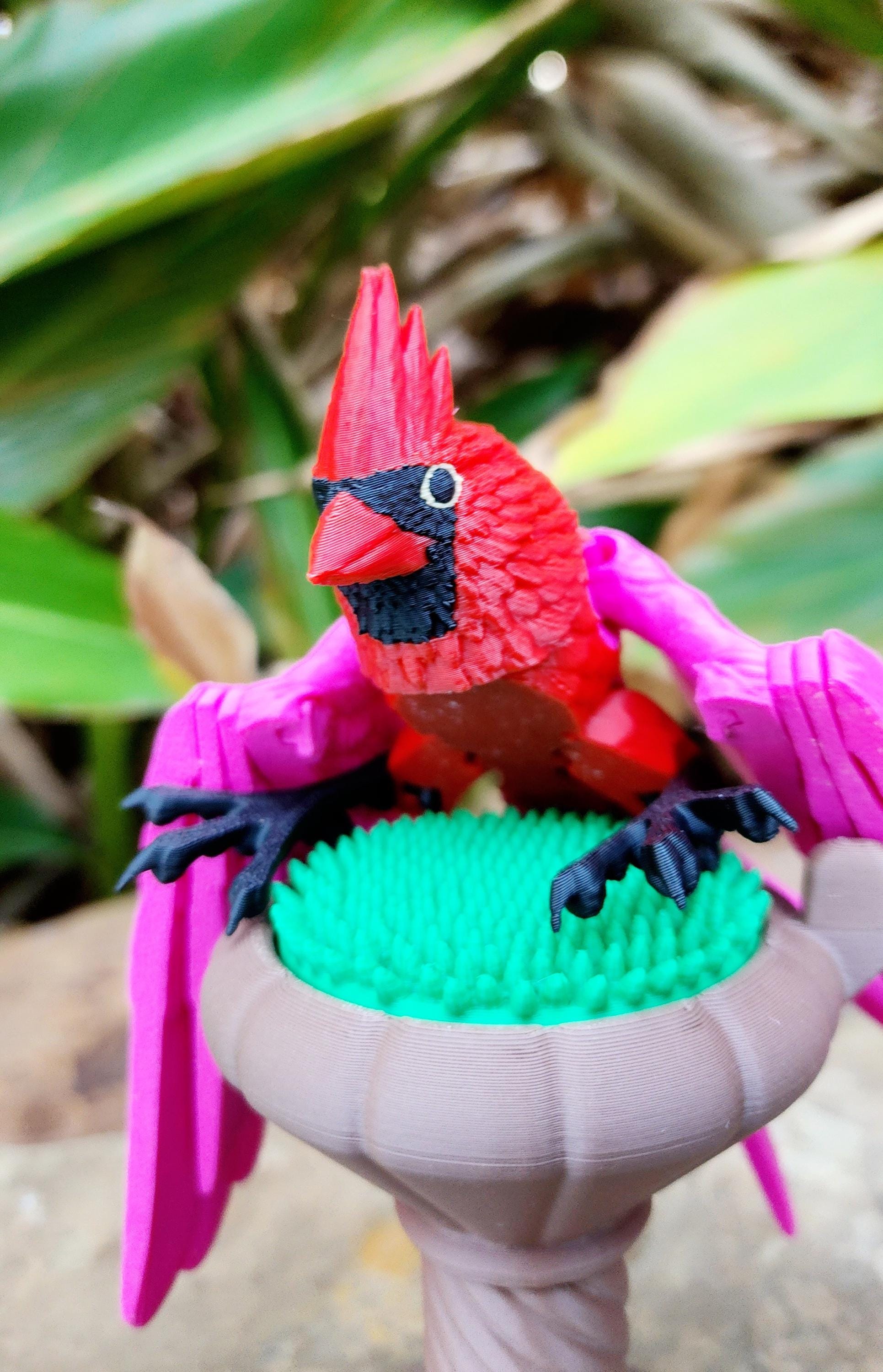 3D printed articulate Cardinal fidget, sensory, desktop toy.