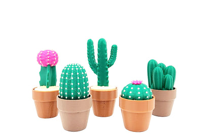 3D Cactus Clicker Stress Reliver, fidget toy.