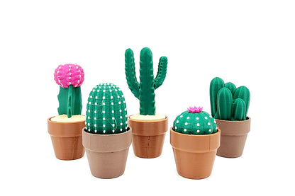 3D Cactus Clicker Stress Reliver, fidget toy.