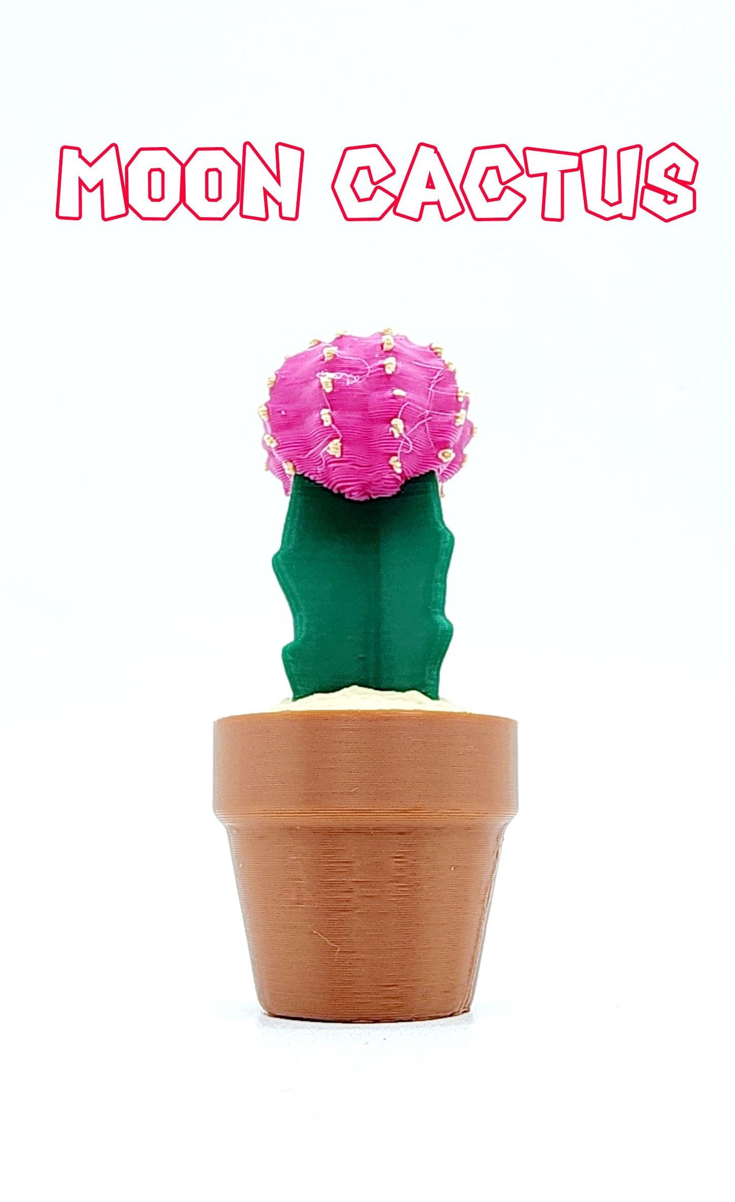 3D Cactus Clicker Stress Reliver, fidget toy.