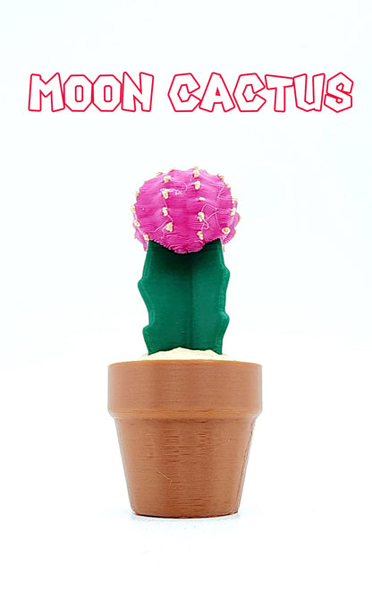 3D Cactus Clicker Stress Reliver, fidget toy.