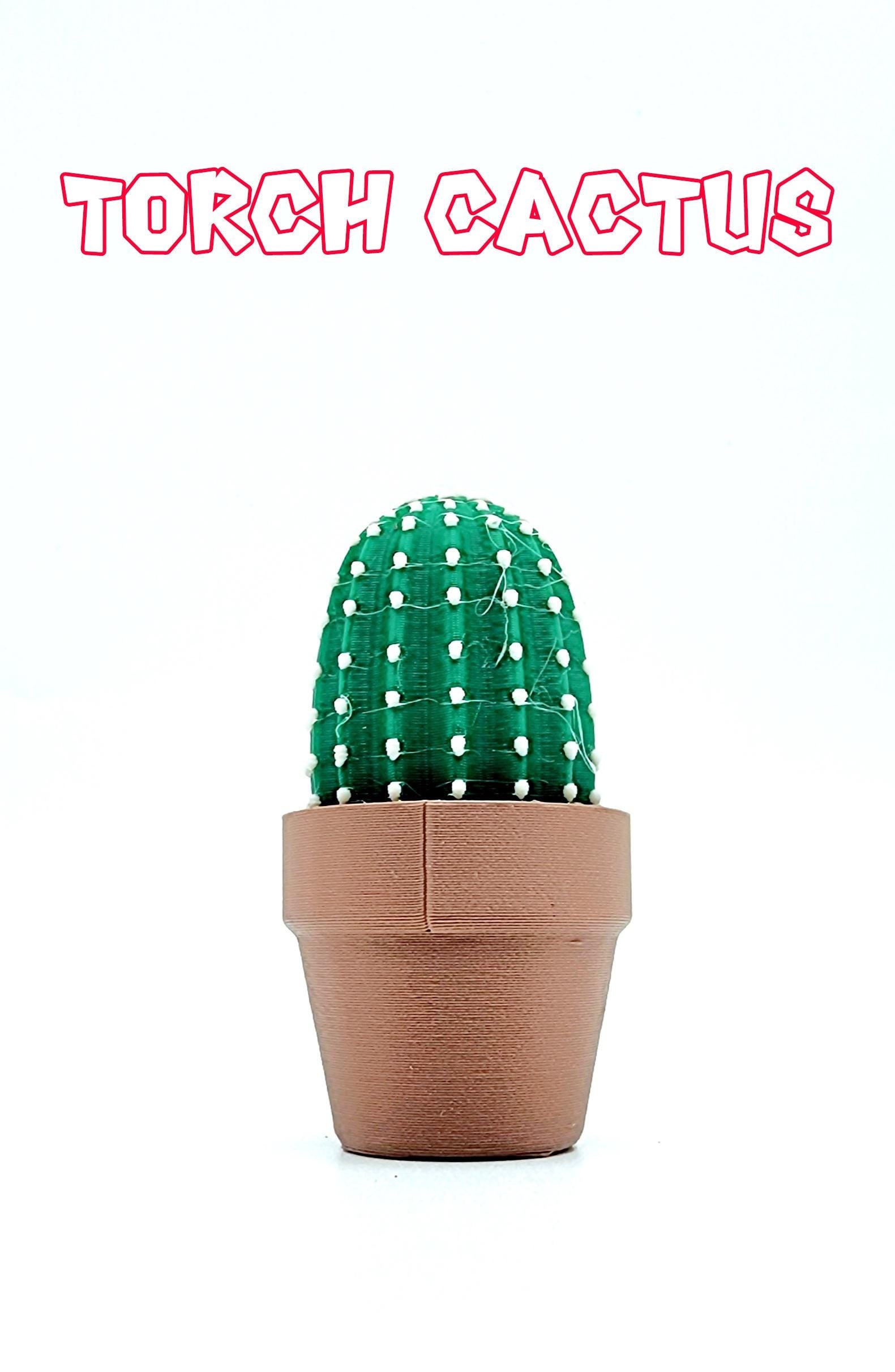 3D Cactus Clicker Stress Reliver, fidget toy.