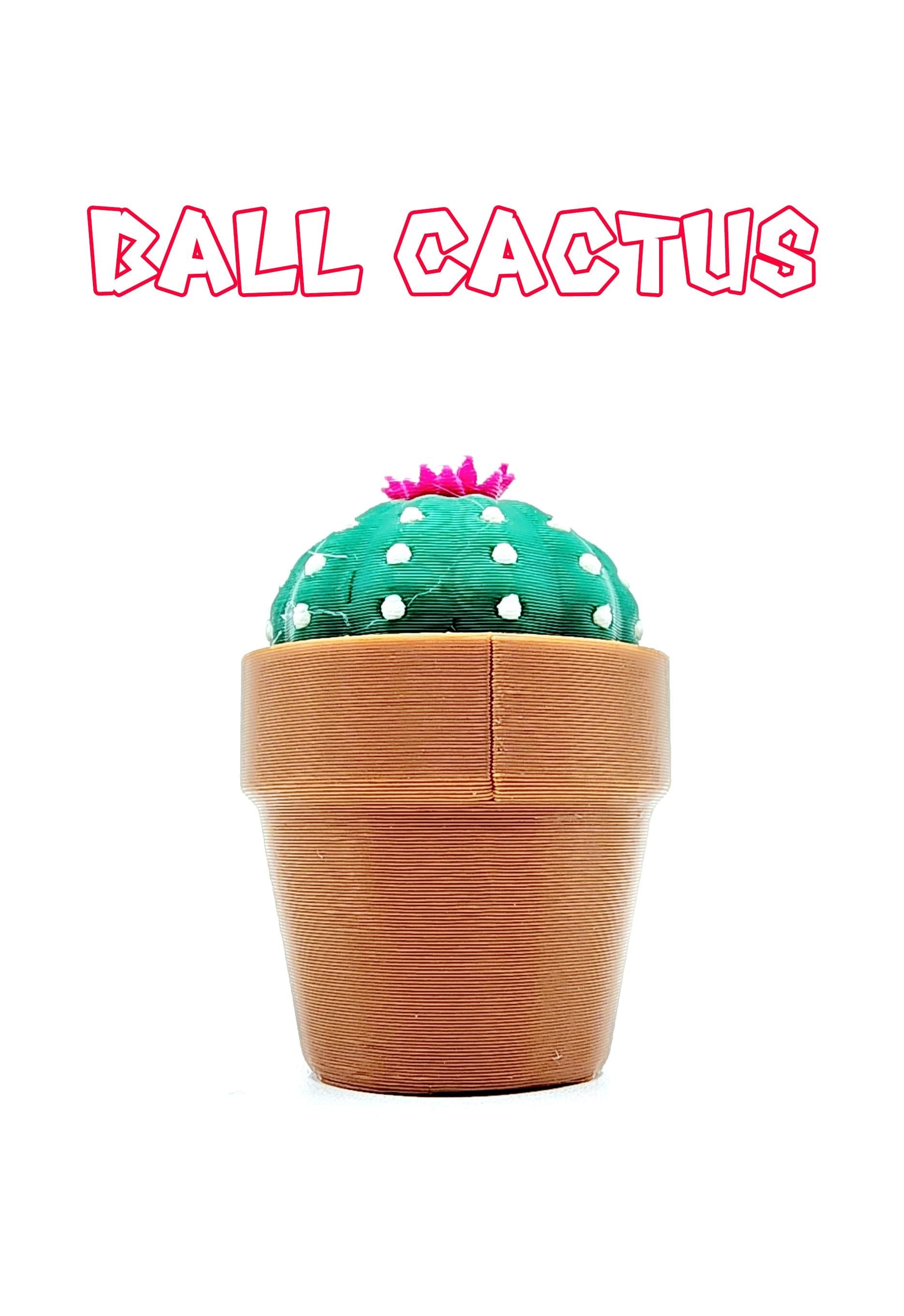 3D Cactus Clicker Stress Reliver, fidget toy.