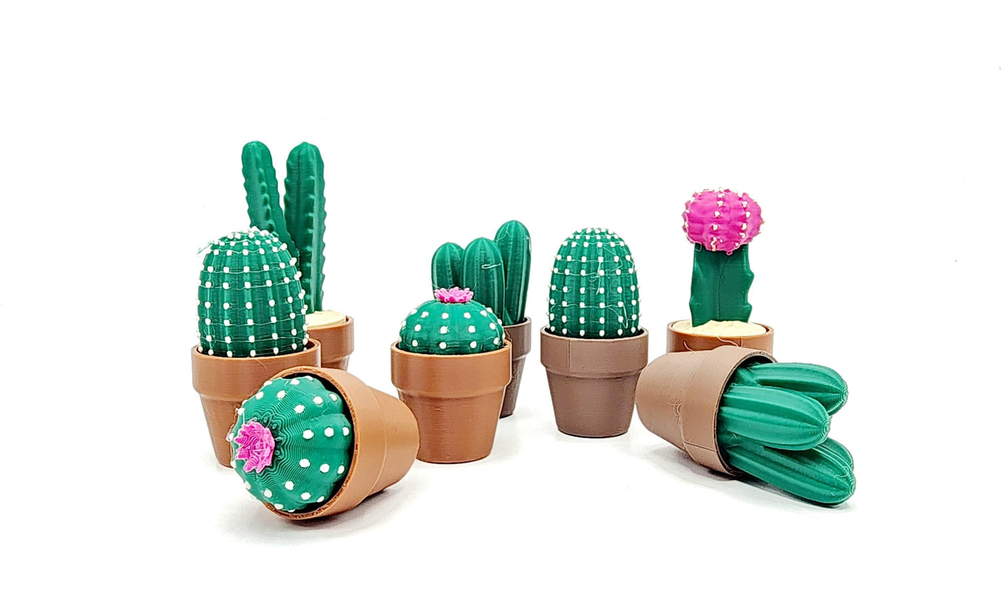 3D Cactus Clicker Stress Reliver, fidget toy.