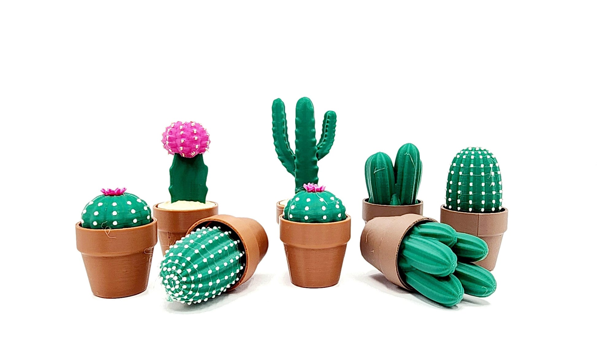 3D Cactus Clicker Stress Reliver, fidget toy.
