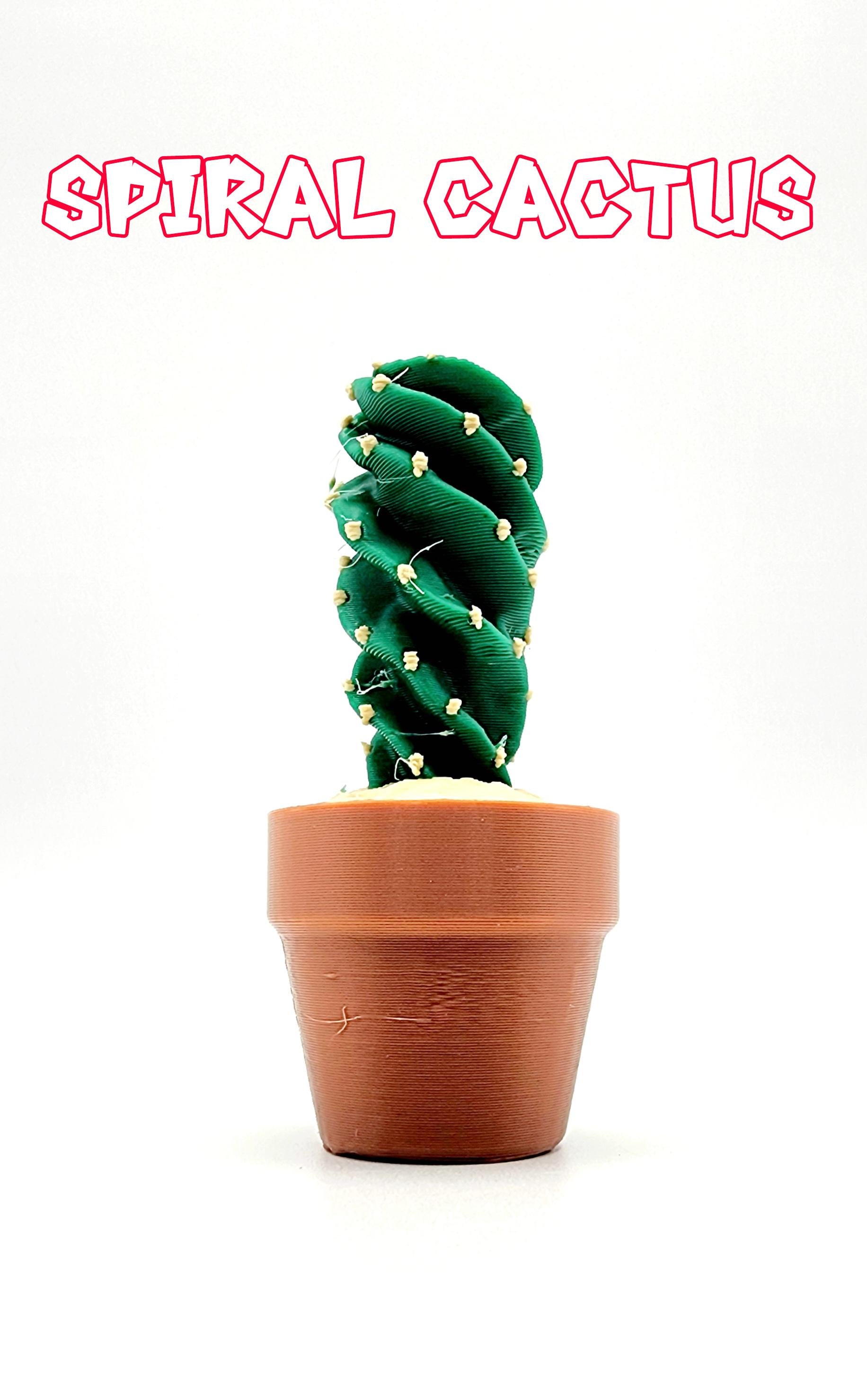 3D Cactus Clicker Stress Reliver, fidget toy.