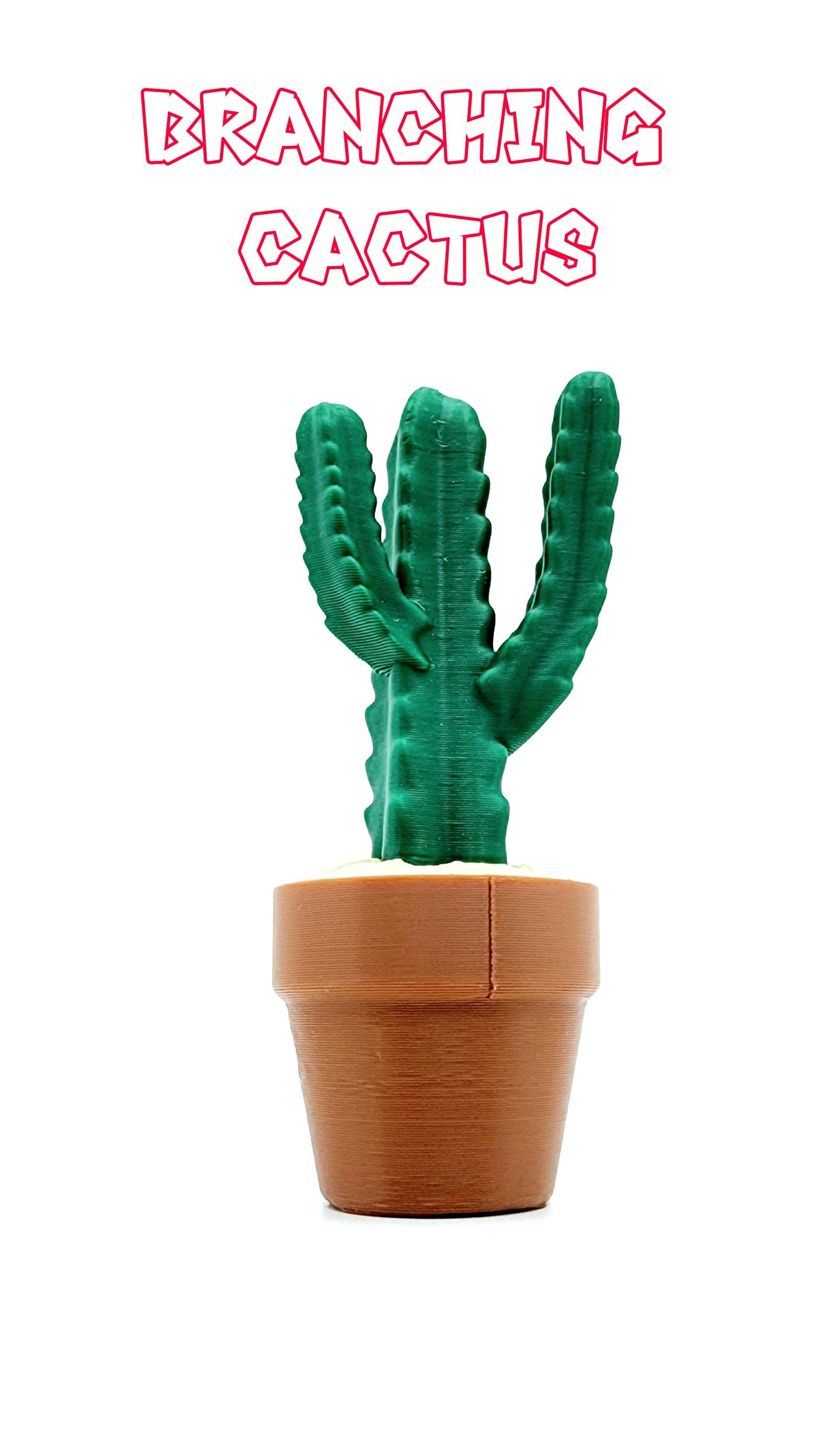3D Cactus Clicker Stress Reliver, fidget toy.