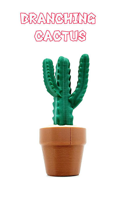 3D Cactus Clicker Stress Reliver, fidget toy.