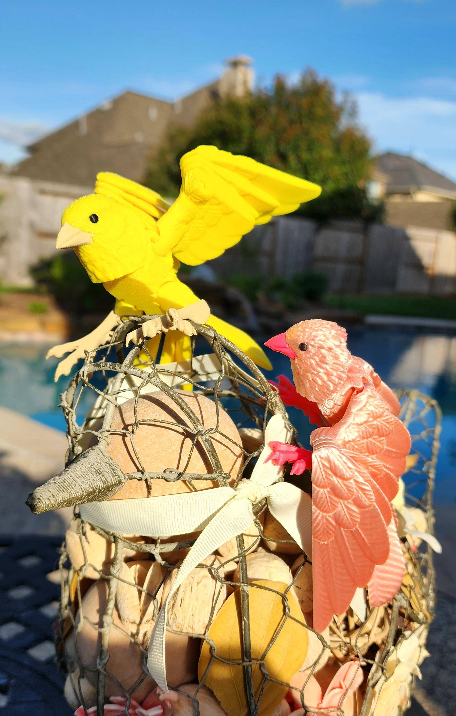 3D printed articulate Canary fidget toy, Stress Reliever, Sensory Toy.