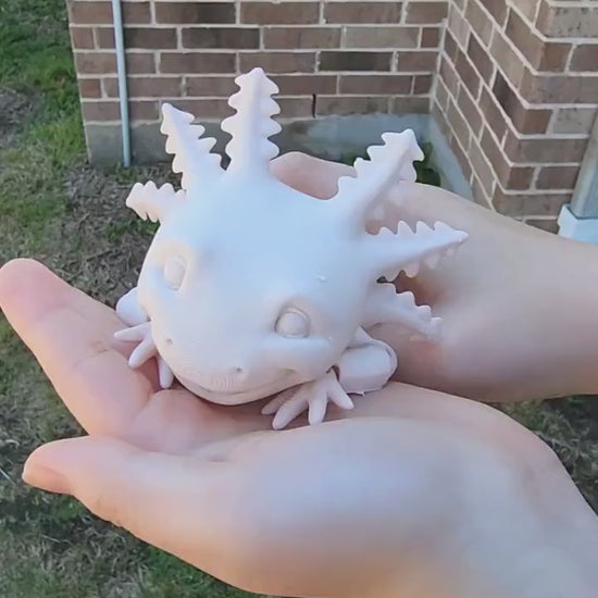 3D printed Axolotl, articulate fidget toy.