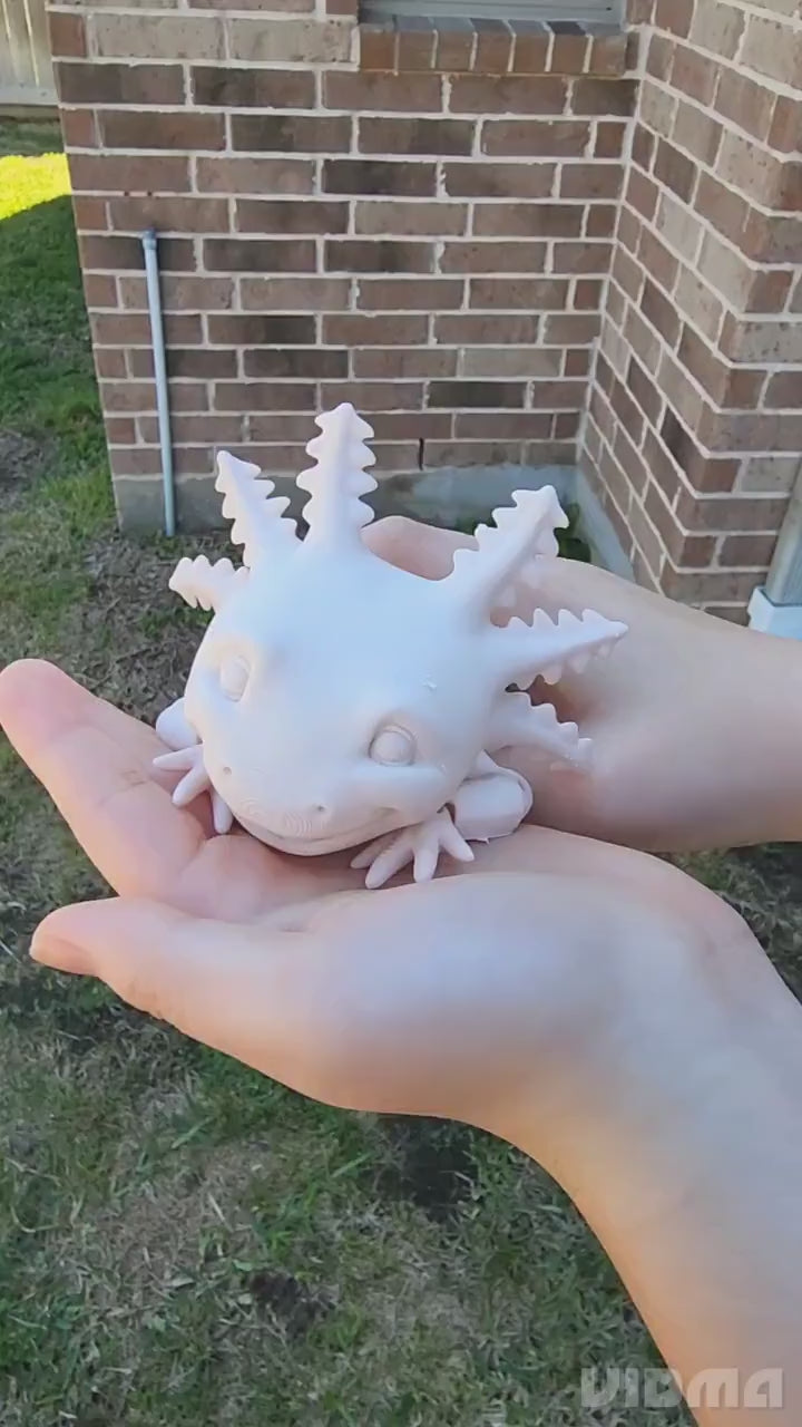 3D printed Axolotl, articulate fidget toy.