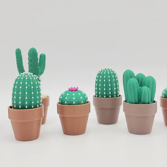 3D Cactus Clicker Stress Reliver, fidget toy.