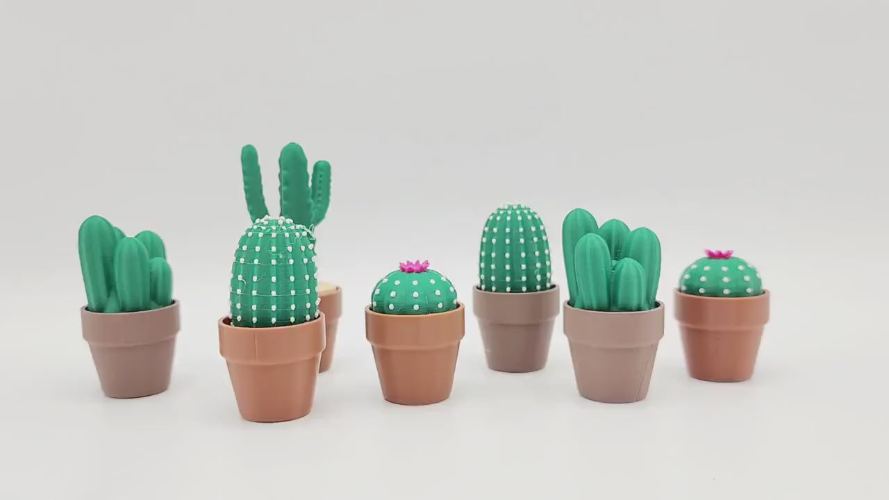 3D Cactus Clicker Stress Reliver, fidget toy.