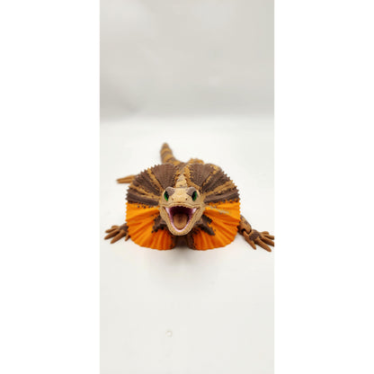 Frilled Neck Lizard 3D printed articulated model, view 9